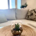 Cozy Gasthuis 3*
